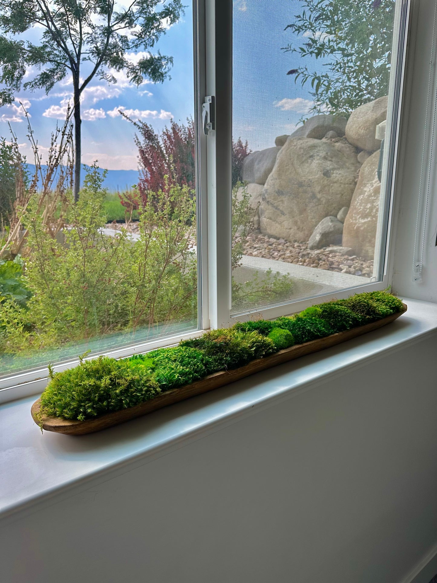 Persevered Moss Centerpiece, 38" Dough Bowl, Housewarming Gift, Home Office Decor, Table Decor, Wooden Bowl