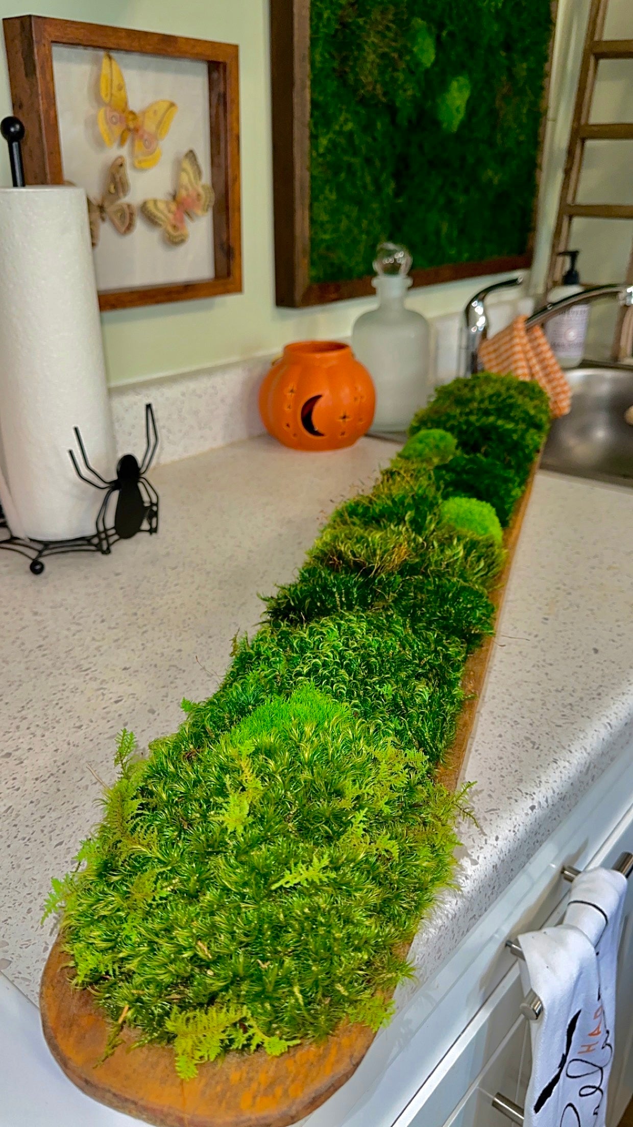 Persevered Moss Centerpiece, 38" Dough Bowl, Housewarming Gift, Home Office Decor, Table Decor, Wooden Bowl