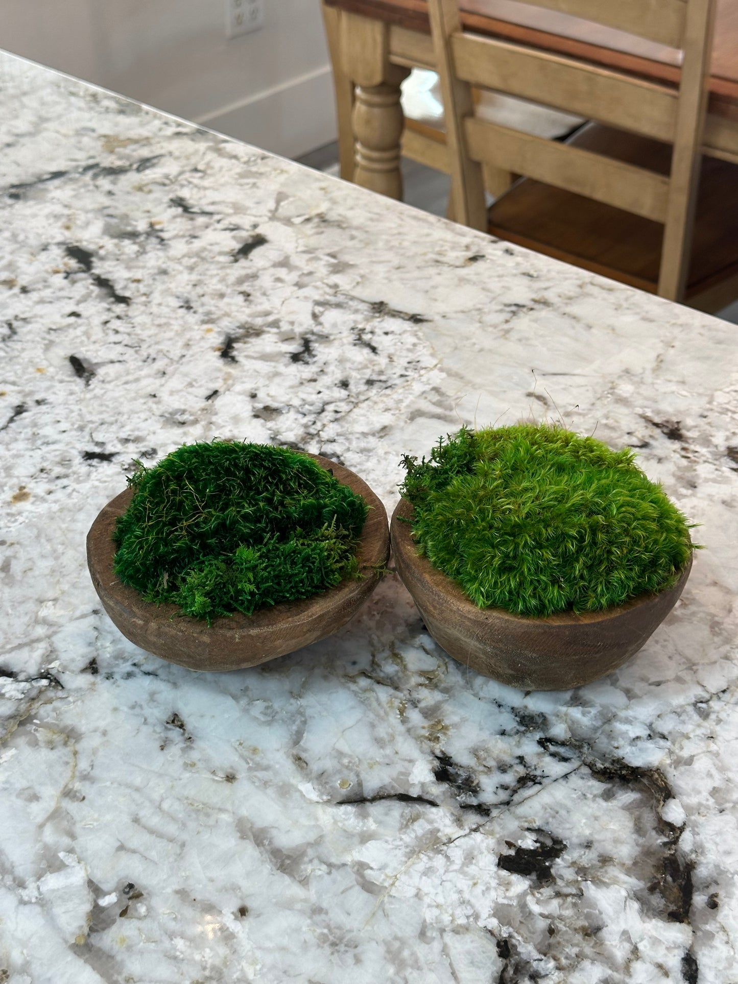 Preserved Moss Round Wooden Dough Bowl Centerpiece | Housewarming Gift | Green Thumb | Minimalist Home Office Decor | Table Decor