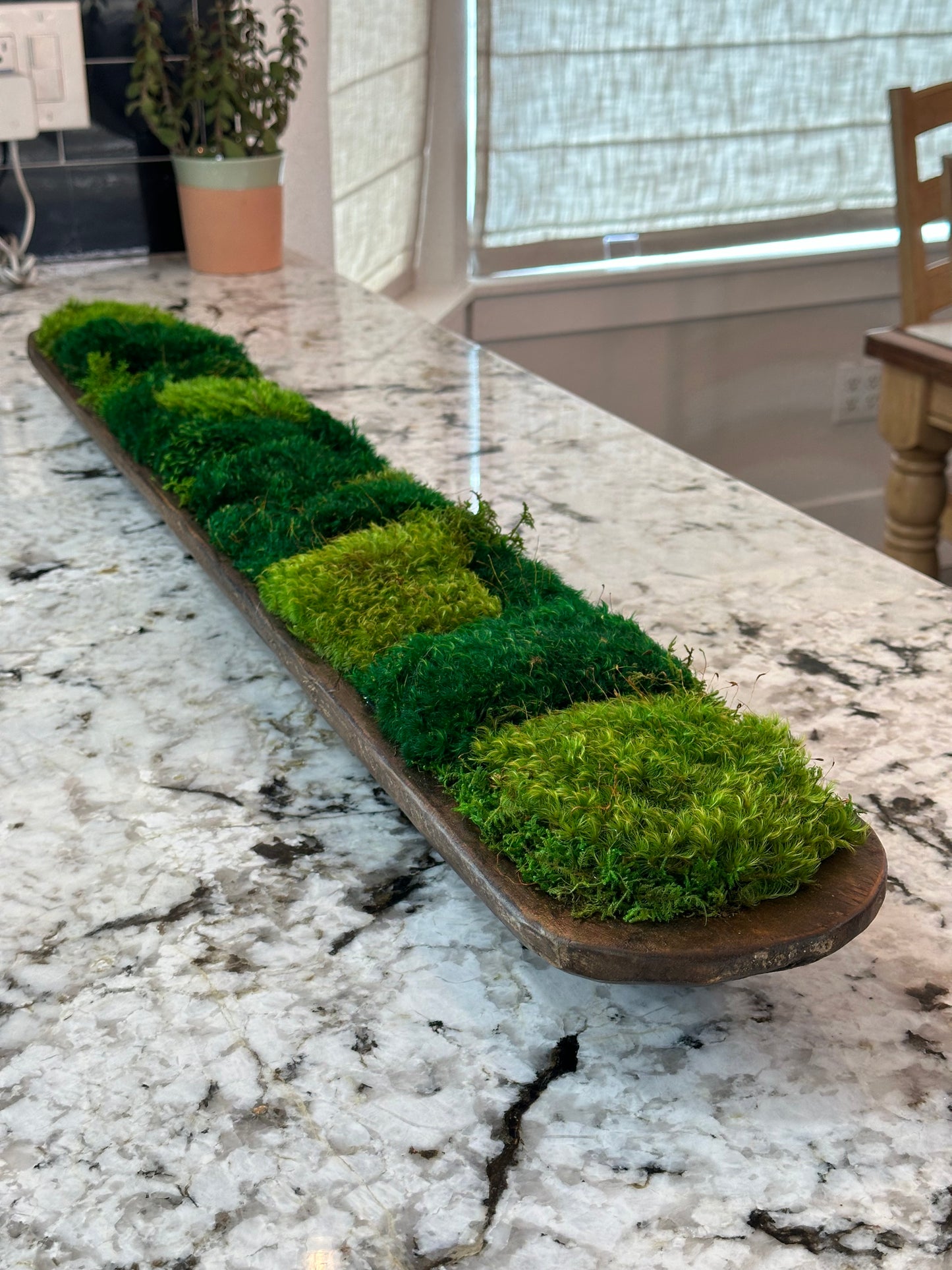 Persevered Moss Centerpiece, 38" Dough Bowl, Housewarming Gift, Home Office Decor, Table Decor, Wooden Bowl