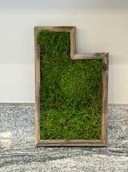 Utah Mountain Preserved Moss Wall Art