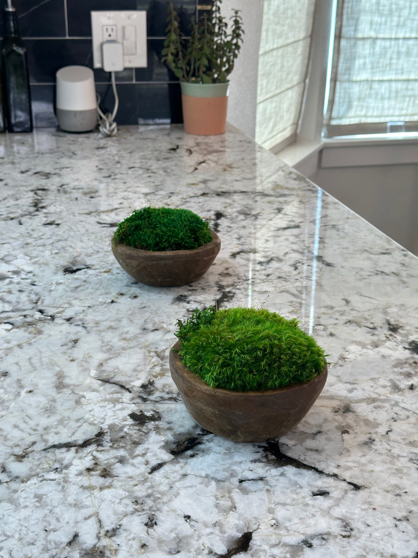 Preserved Moss Round Wooden Dough Bowl Centerpiece | Housewarming Gift | Green Thumb | Minimalist Home Office Decor | Table Decor