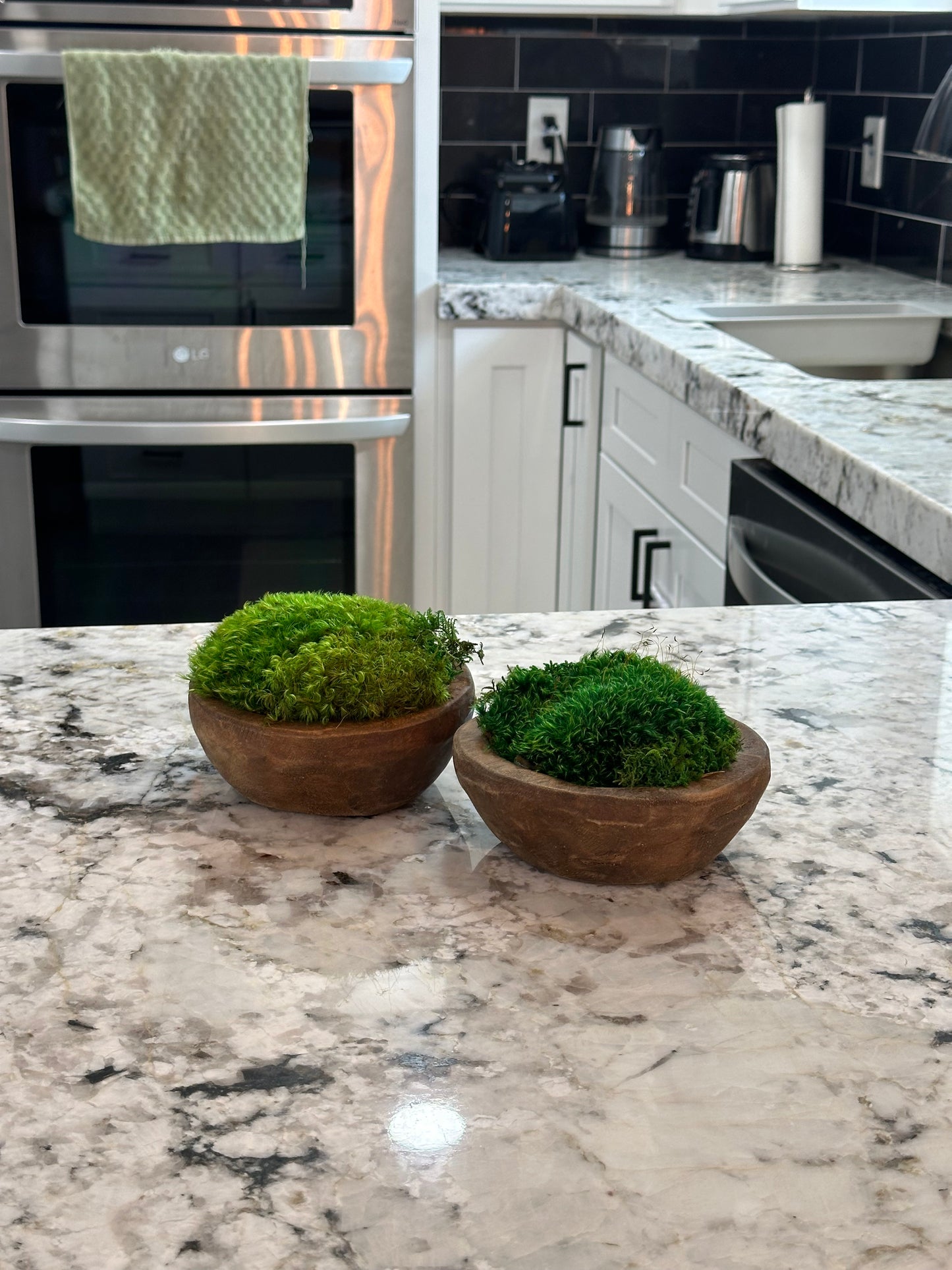 Preserved Moss Round Wooden Dough Bowl Centerpiece | Housewarming Gift | Green Thumb | Minimalist Home Office Decor | Table Decor