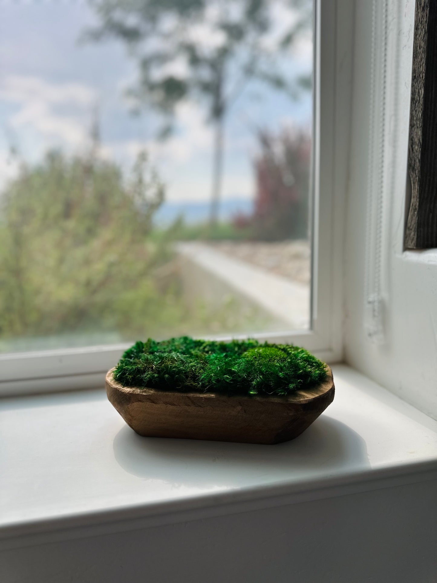 Preserved Moss Dough Bowl Centerpiece