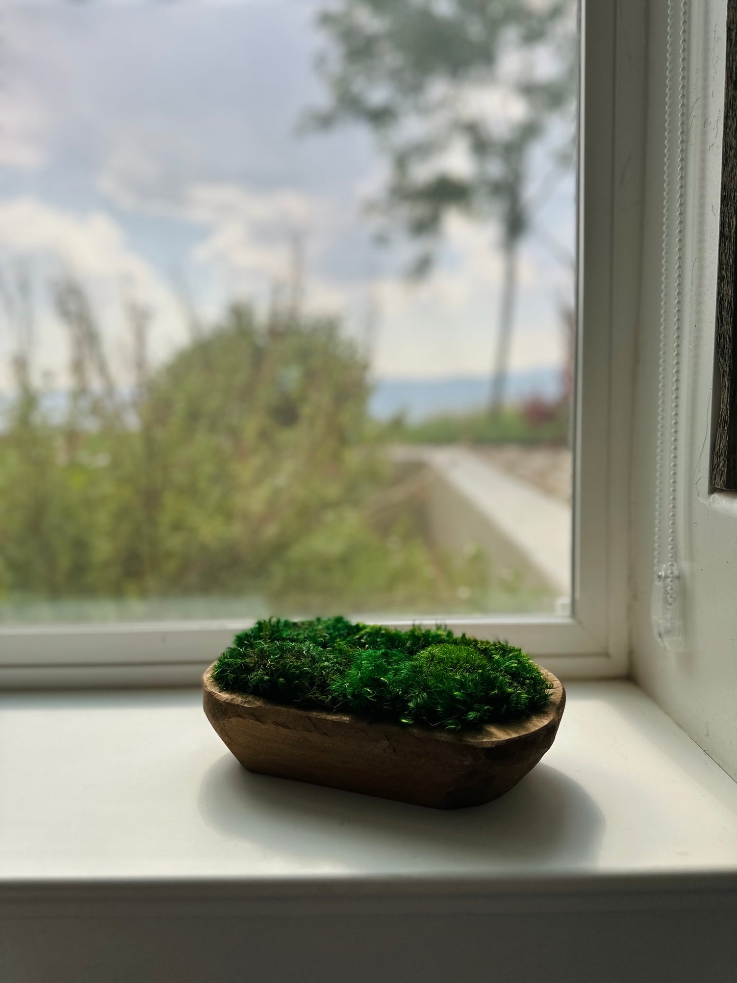 Preserved Moss Dough Bowl Centerpiece