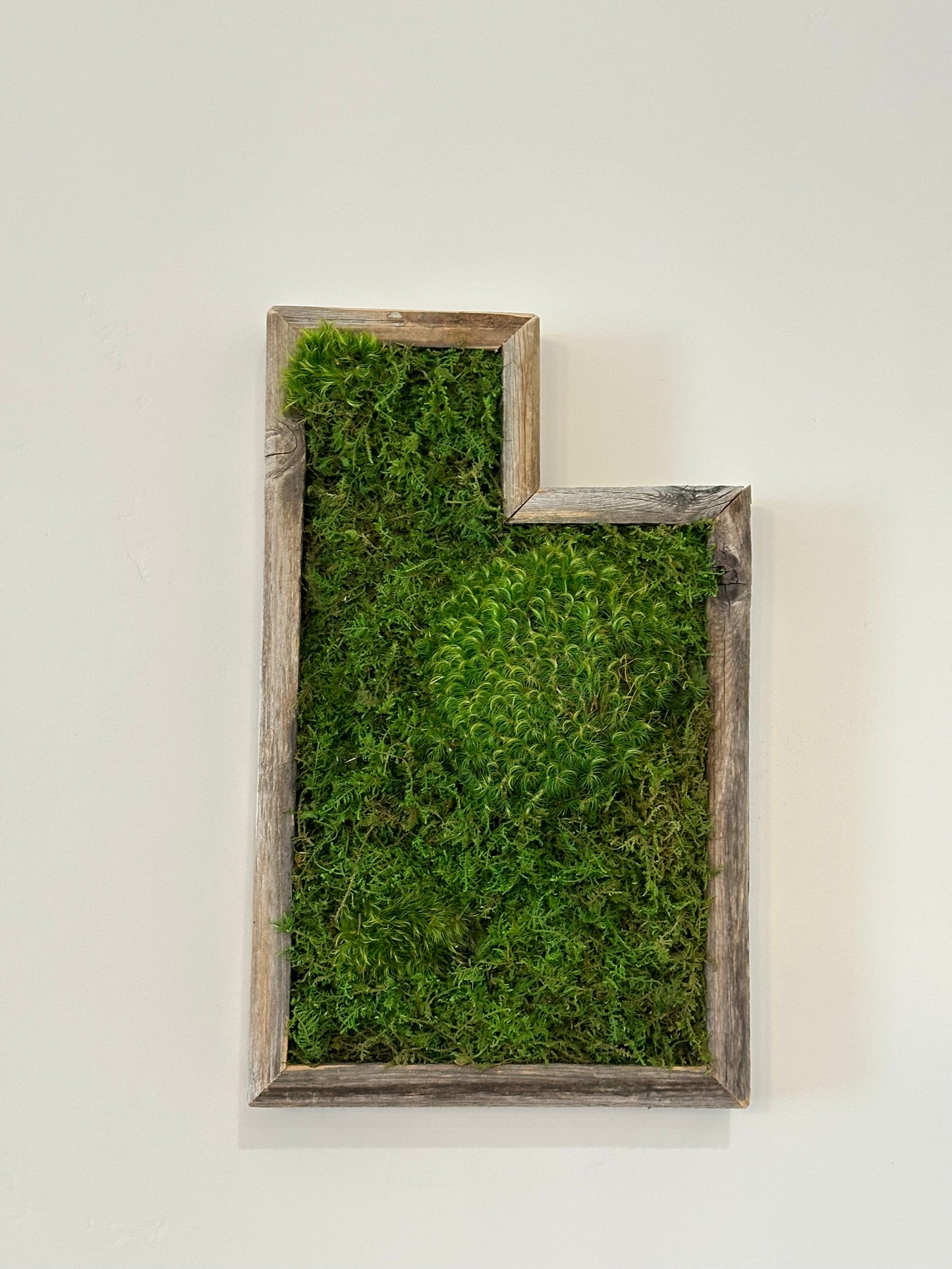 Utah Mountain Preserved Moss Wall Art