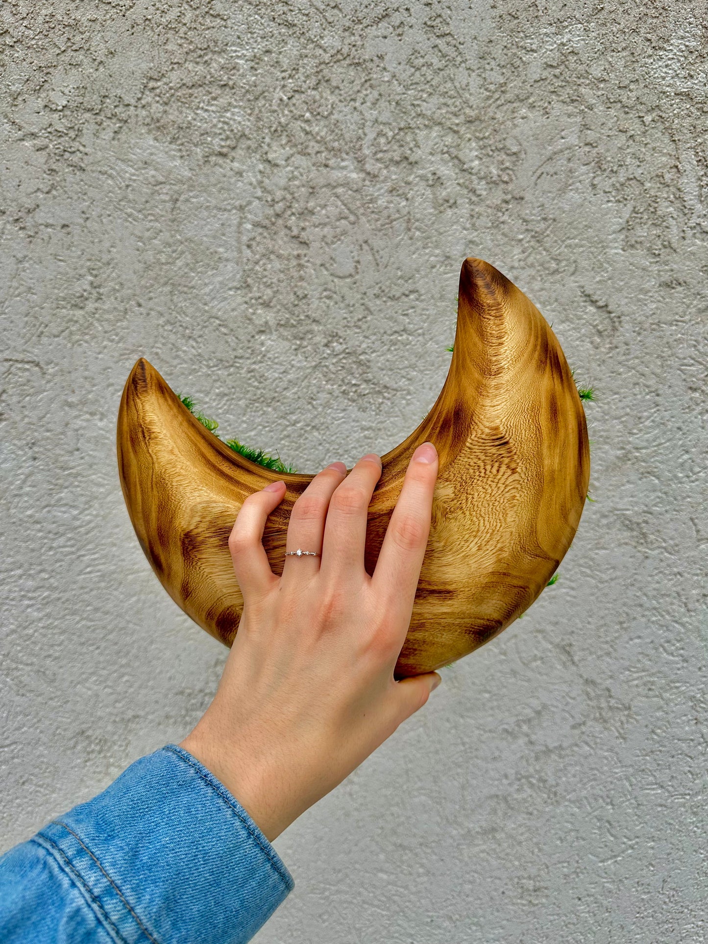 Wooden Moon Bowl Moss Centerpiece