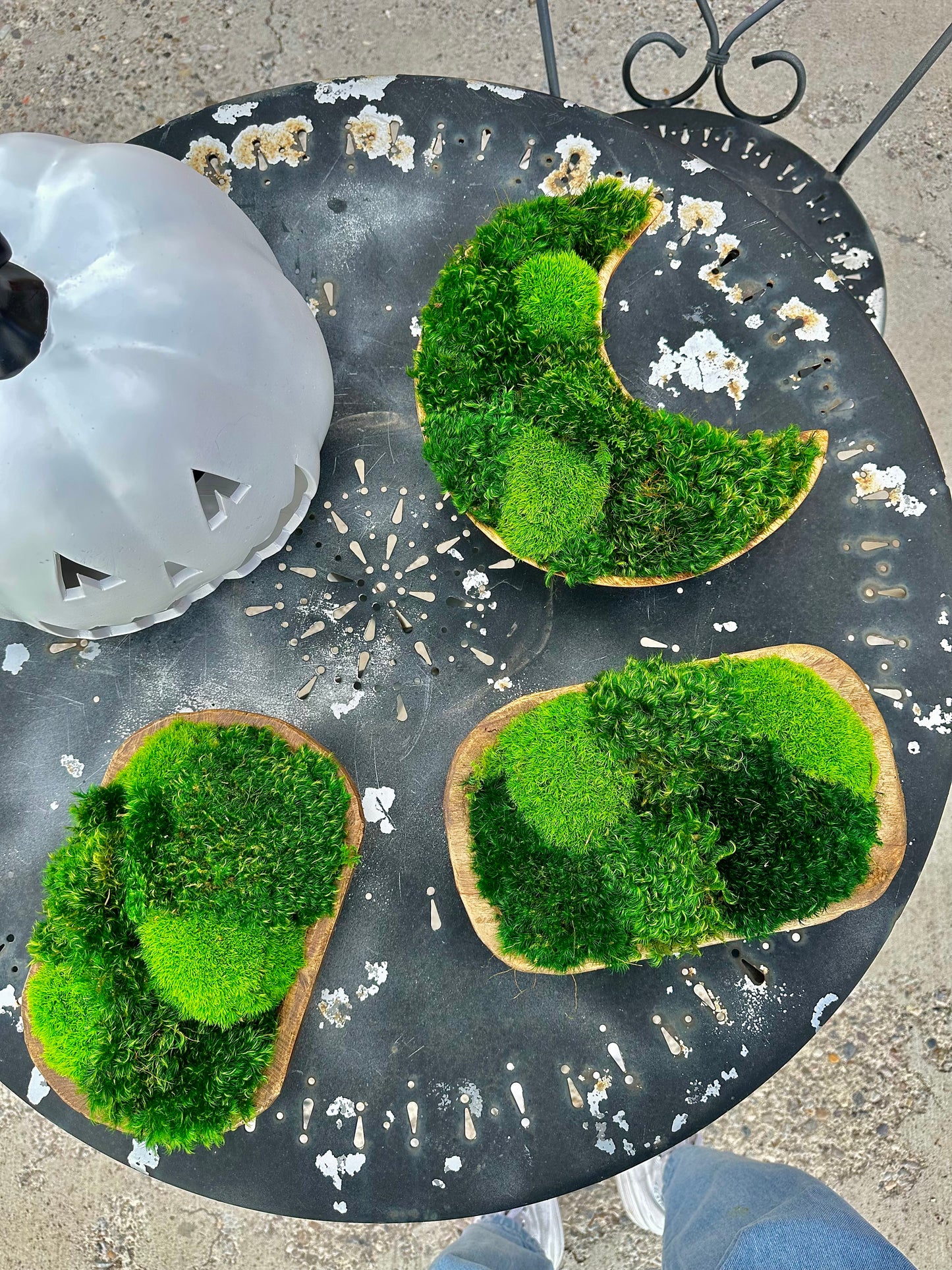 Preserved Moss Dough Bowl Centerpiece