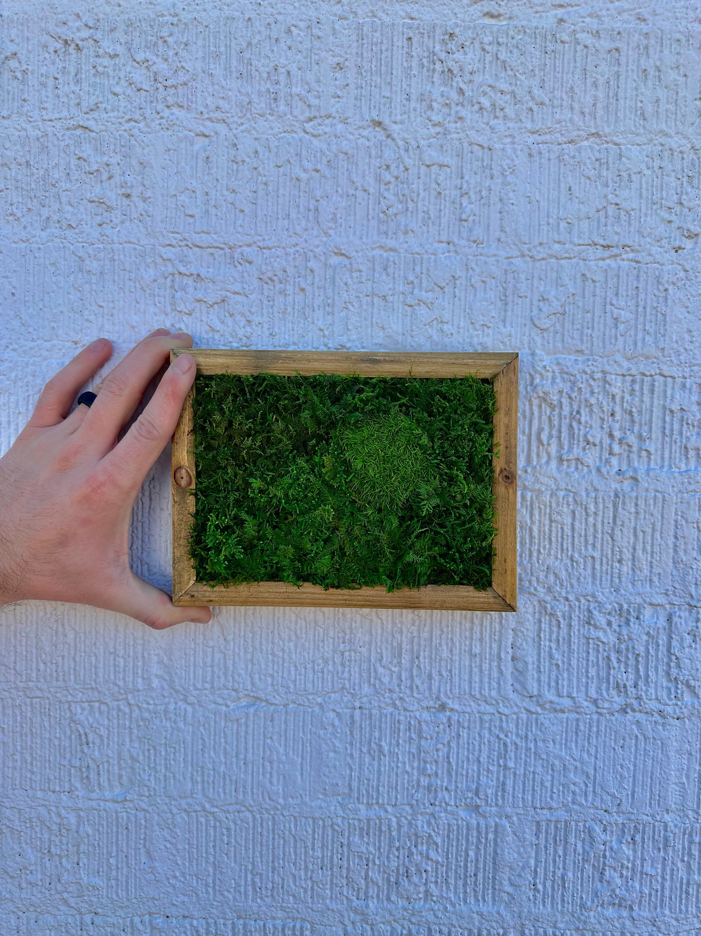 Small Preserved Moss Frame