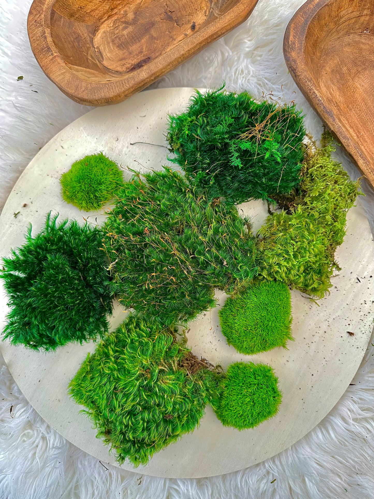 Preserved Mood Moss for DIY