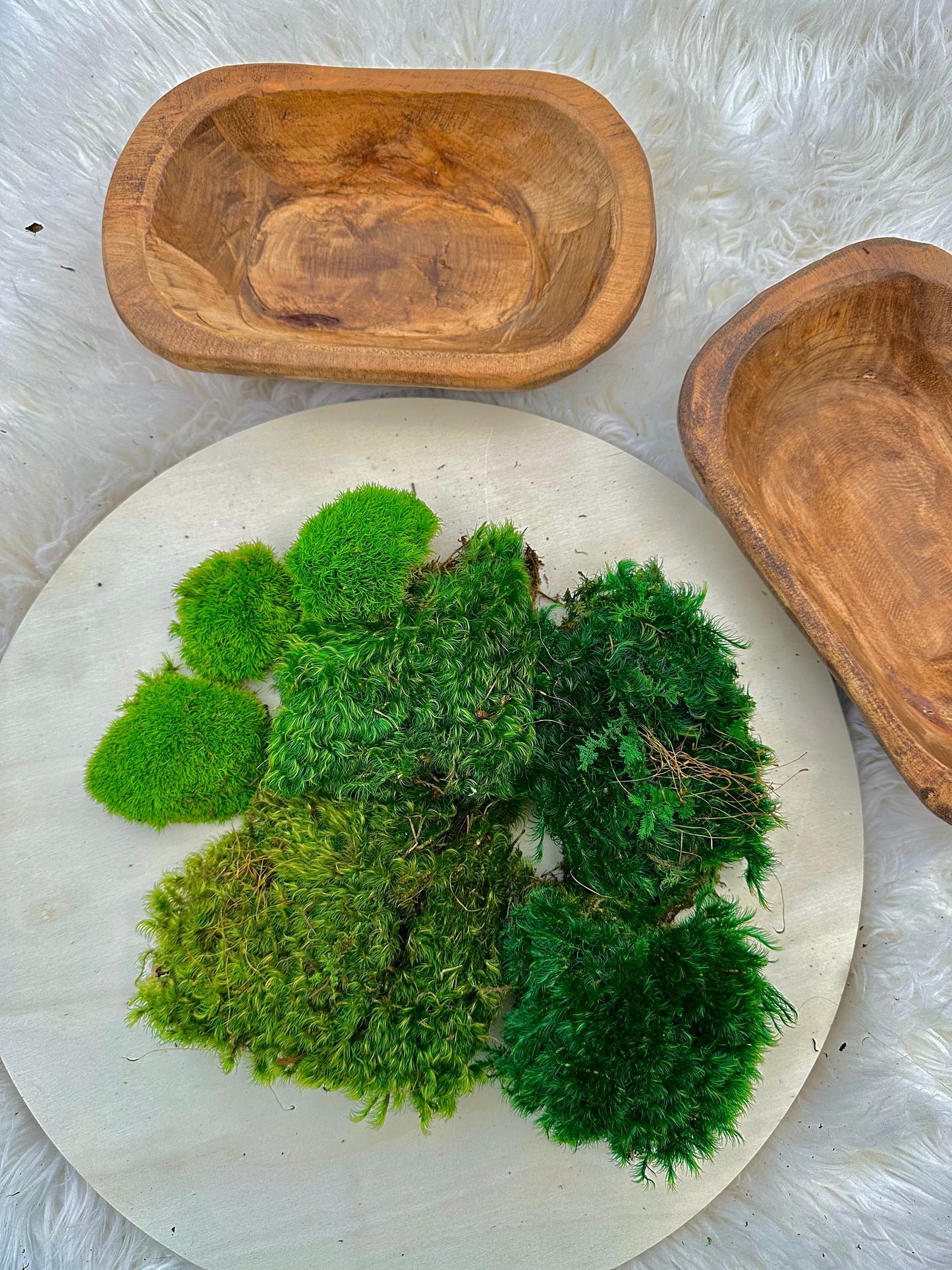 Preserved Mood Moss for DIY