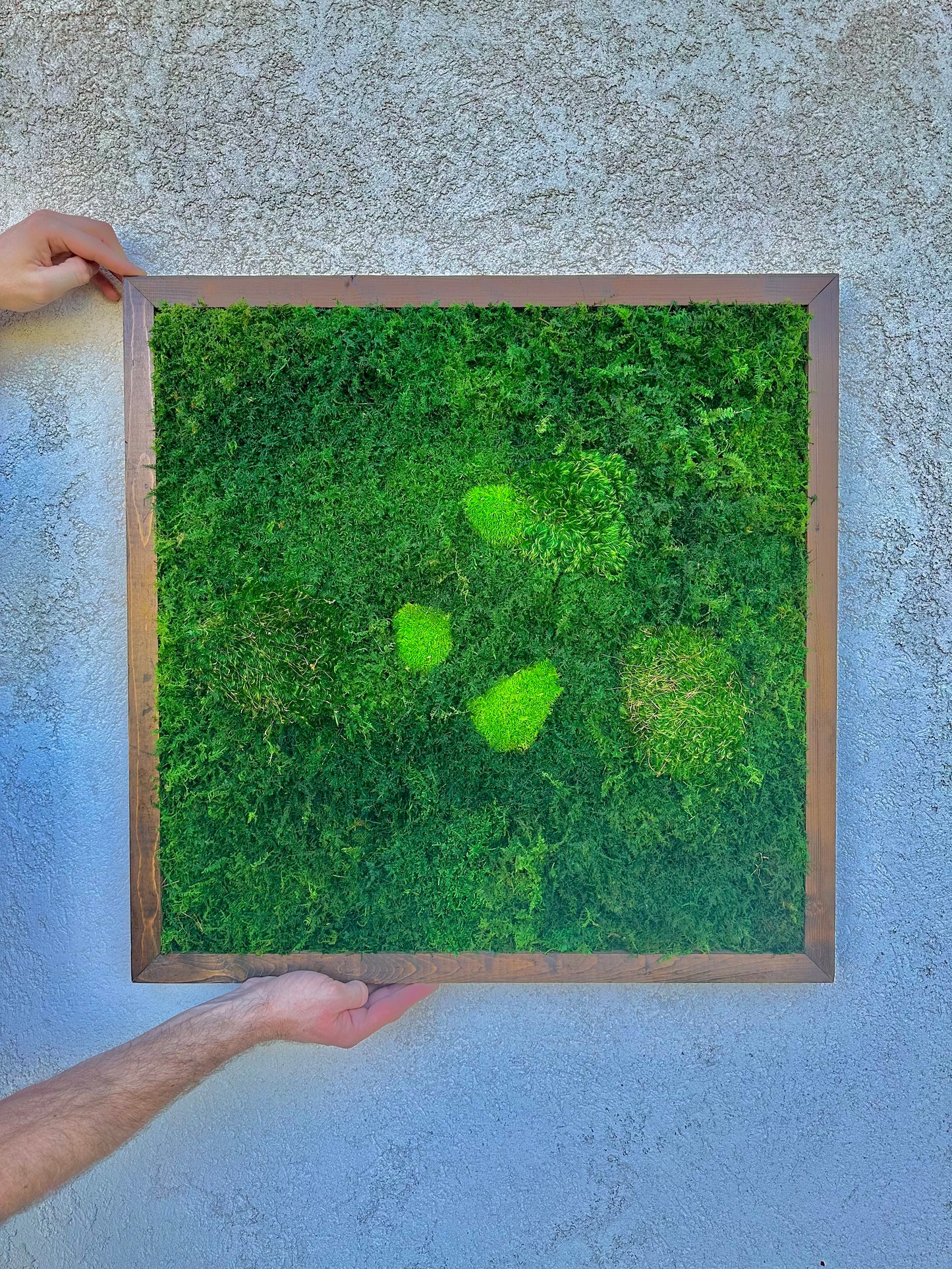 Preserved Moss Wall Art