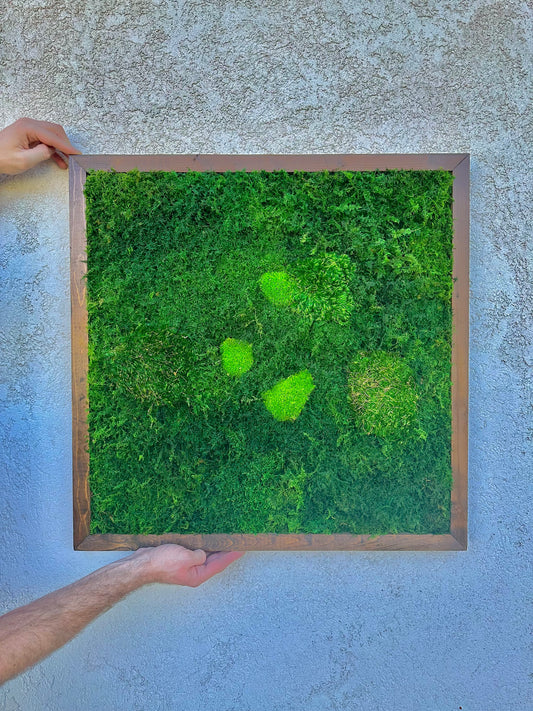 Preserved Moss Wall Art