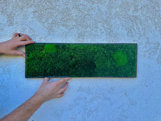 Preserved Moss Wall Art