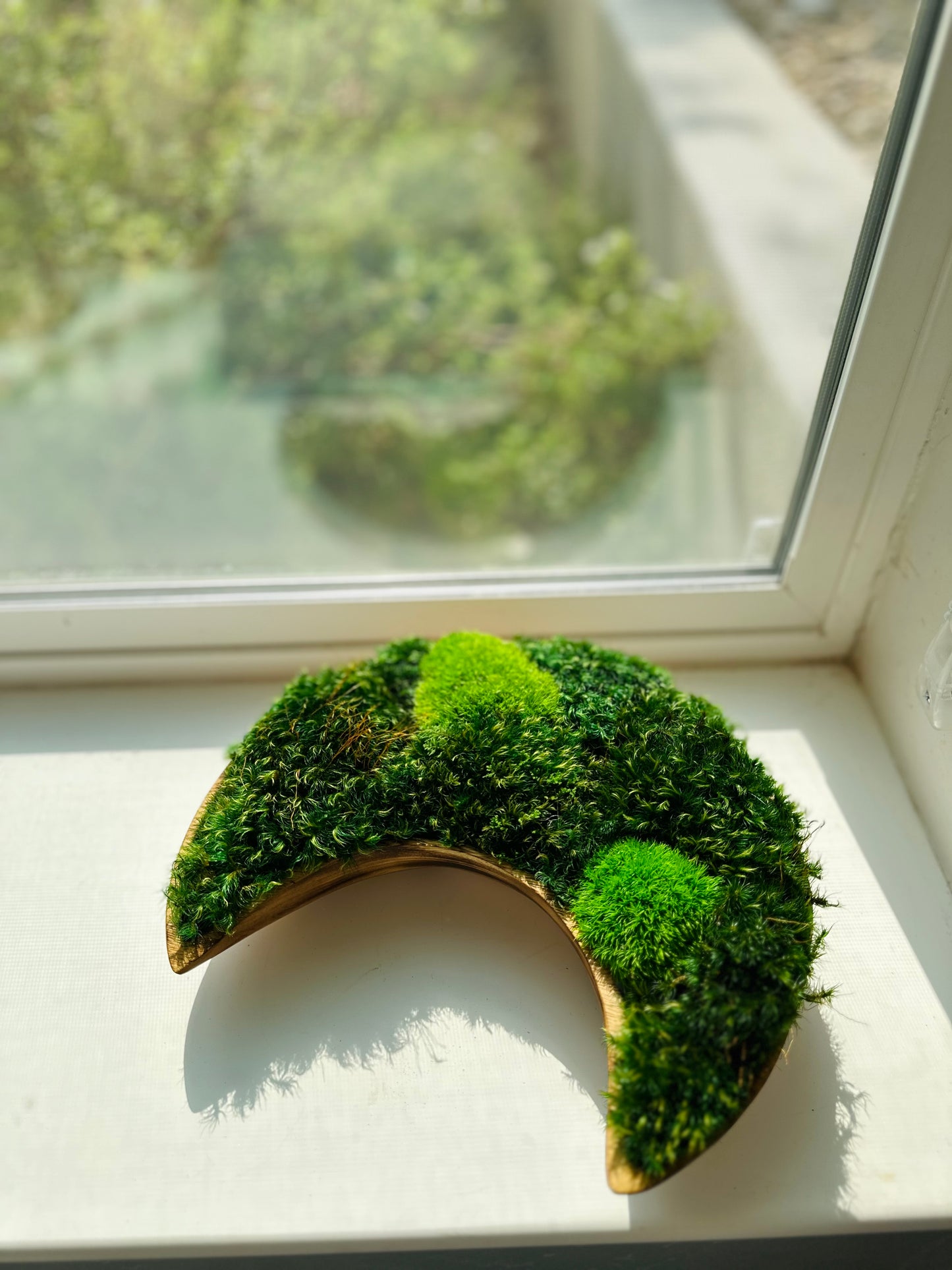 Wooden Moon Bowl Moss Centerpiece