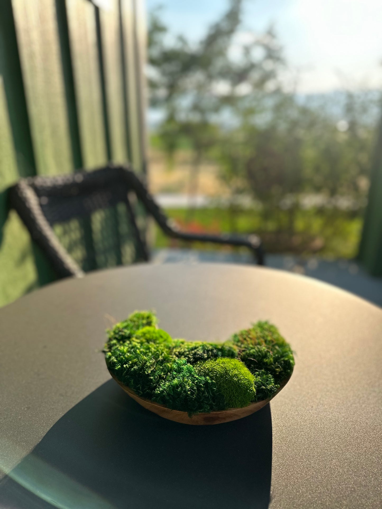 Wooden Moon Bowl Moss Centerpiece