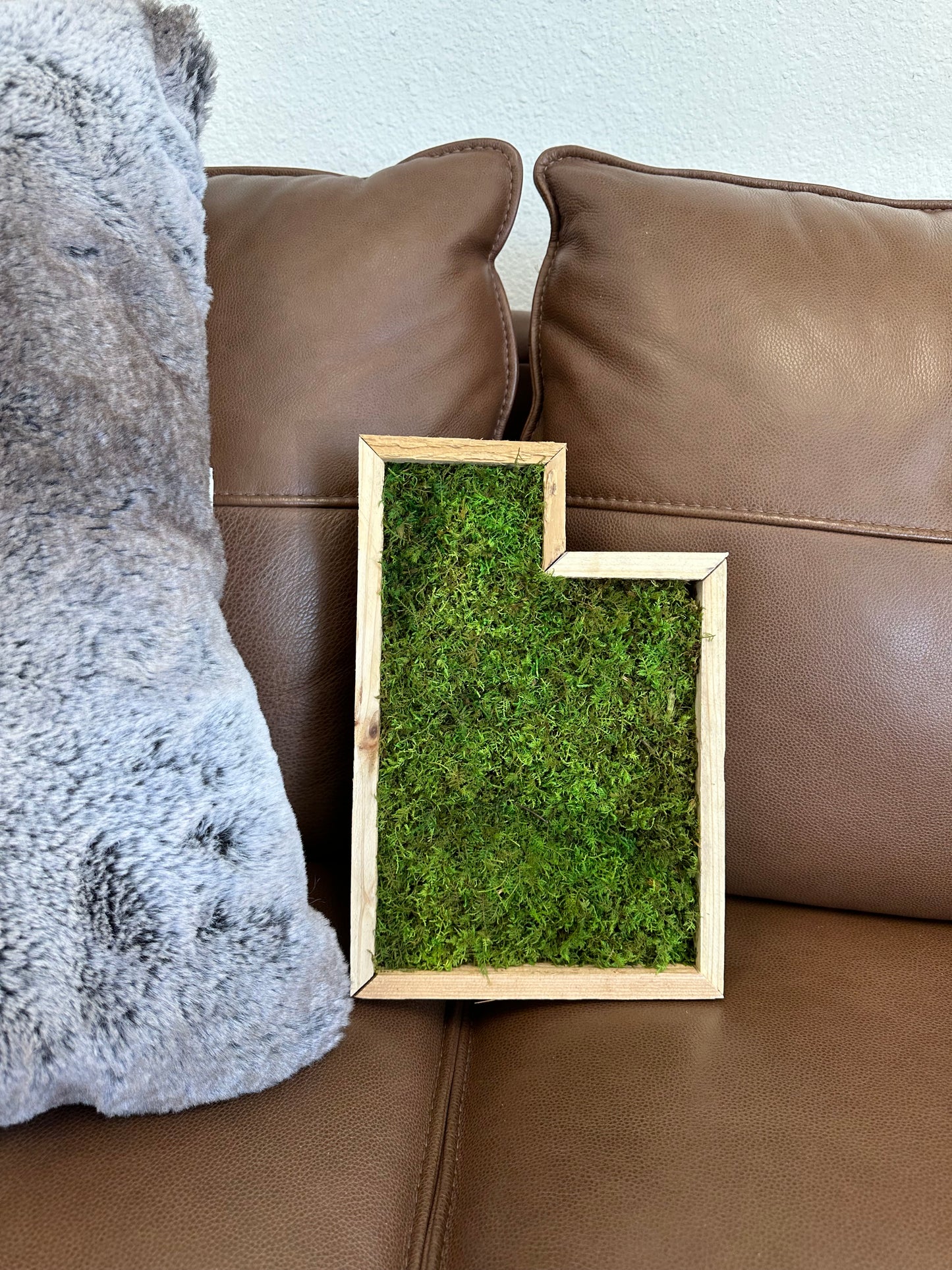 Utah Mountain Preserved Moss Wall Art