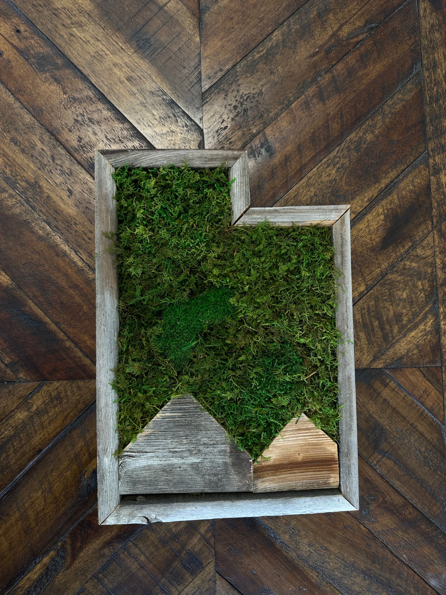 Utah Mountain Preserved Moss Wall Art