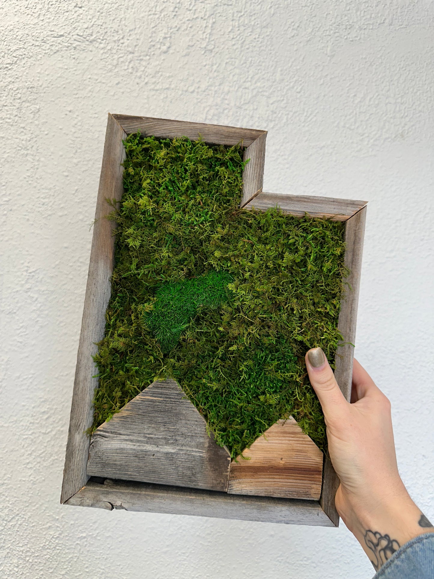 Utah Mountain Preserved Moss Wall Art